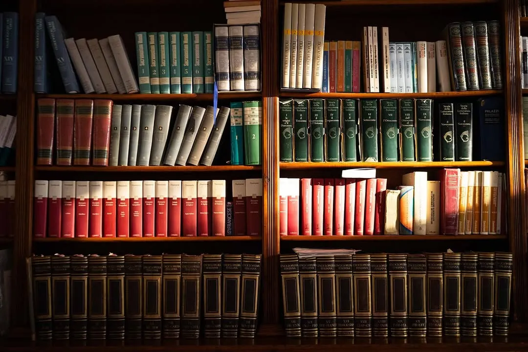 A well-composed and sharp image of a wooden bookshelf filled with numerous old books of various colors, creating a sense of rich historical knowledge.