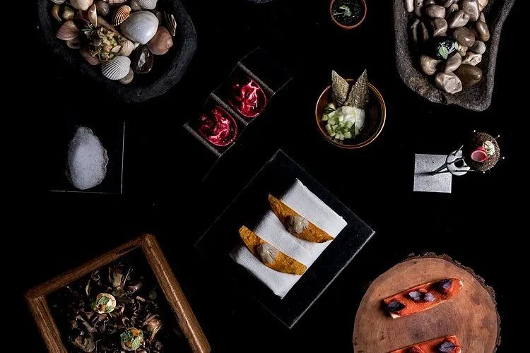 An overhead view showcasing an assortment of meticulously presented culinary dishes against a dark background, suggestive of a fine dining experience. The image highlights various textures and colors across the different food items and their containers.