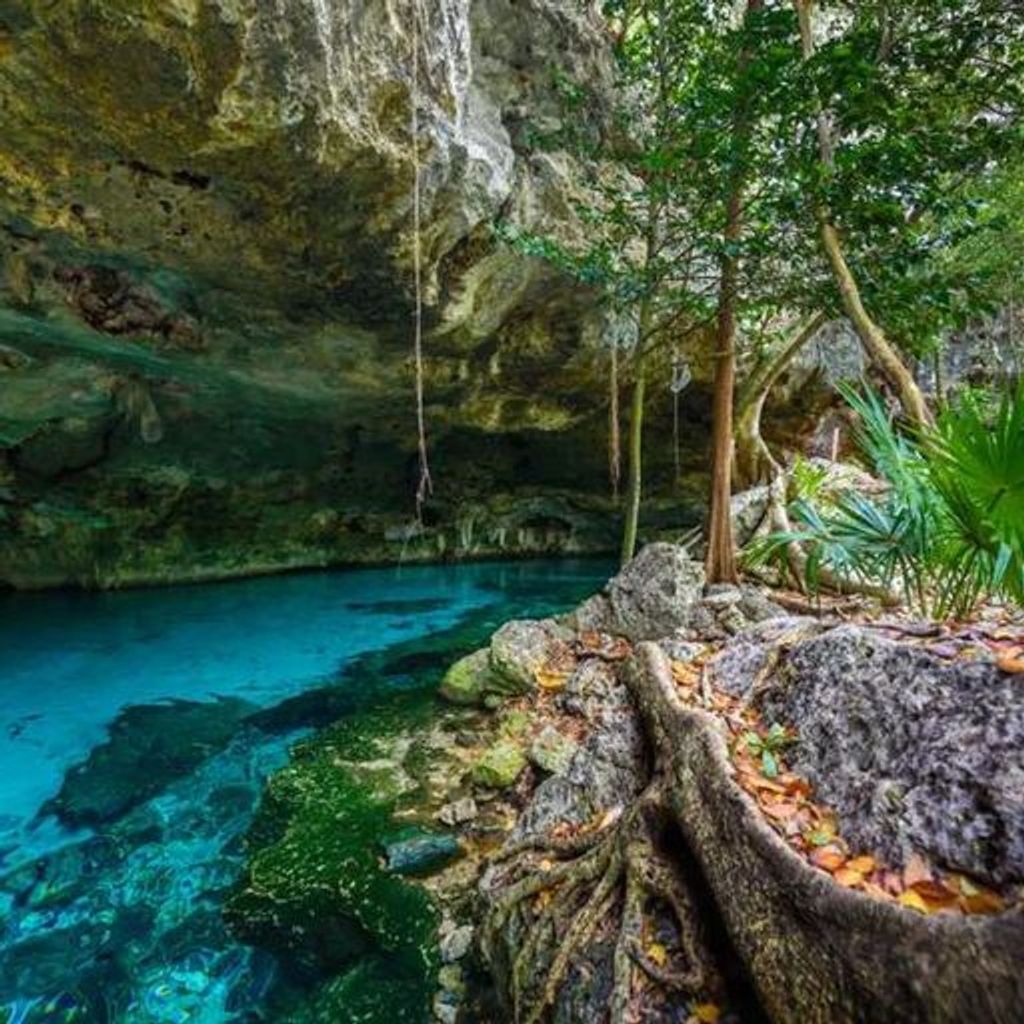 Cenotes 2 Ojos - 7