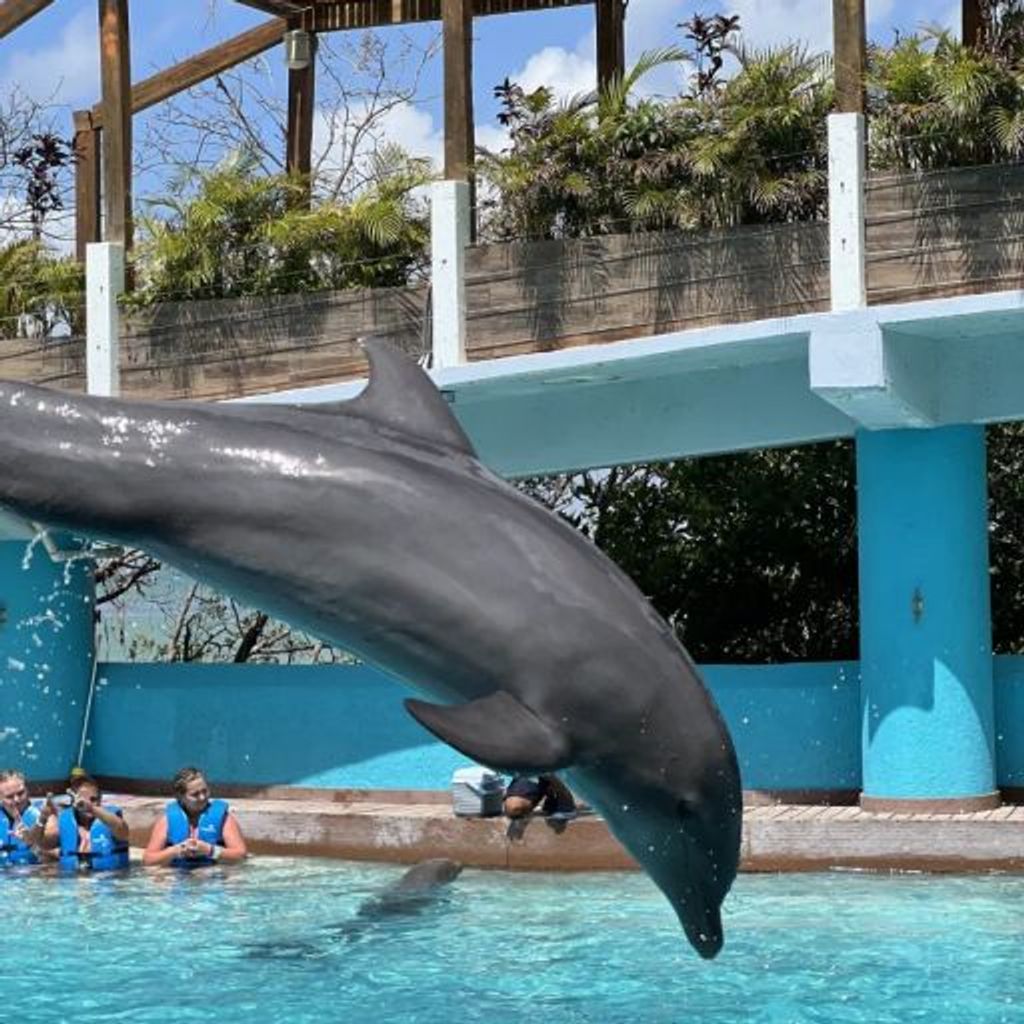 Interactive Aquarium Cancún - 7