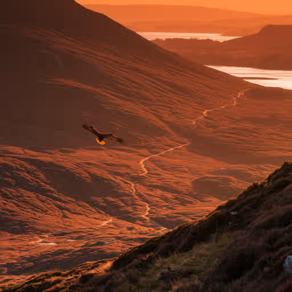 This image showcases a stunning landscape with mountains, a winding path, and an eagle in flight. The lighting is warm and golden, suggesting it was taken during sunset or sunrise. The composition is well-balanced, with the path leading the eye through the scene. The eagle is a key element and is reasonably in focus. The image is sharp and appears photo-realistic. The color accuracy is good, although the overall tone is warm due to the lighting conditions. The image is well-lit and well-composed. The key elements are in focus. The image is sharp and appears photo-realistic. The image is visually appealing and does not contain any unwanted elements.