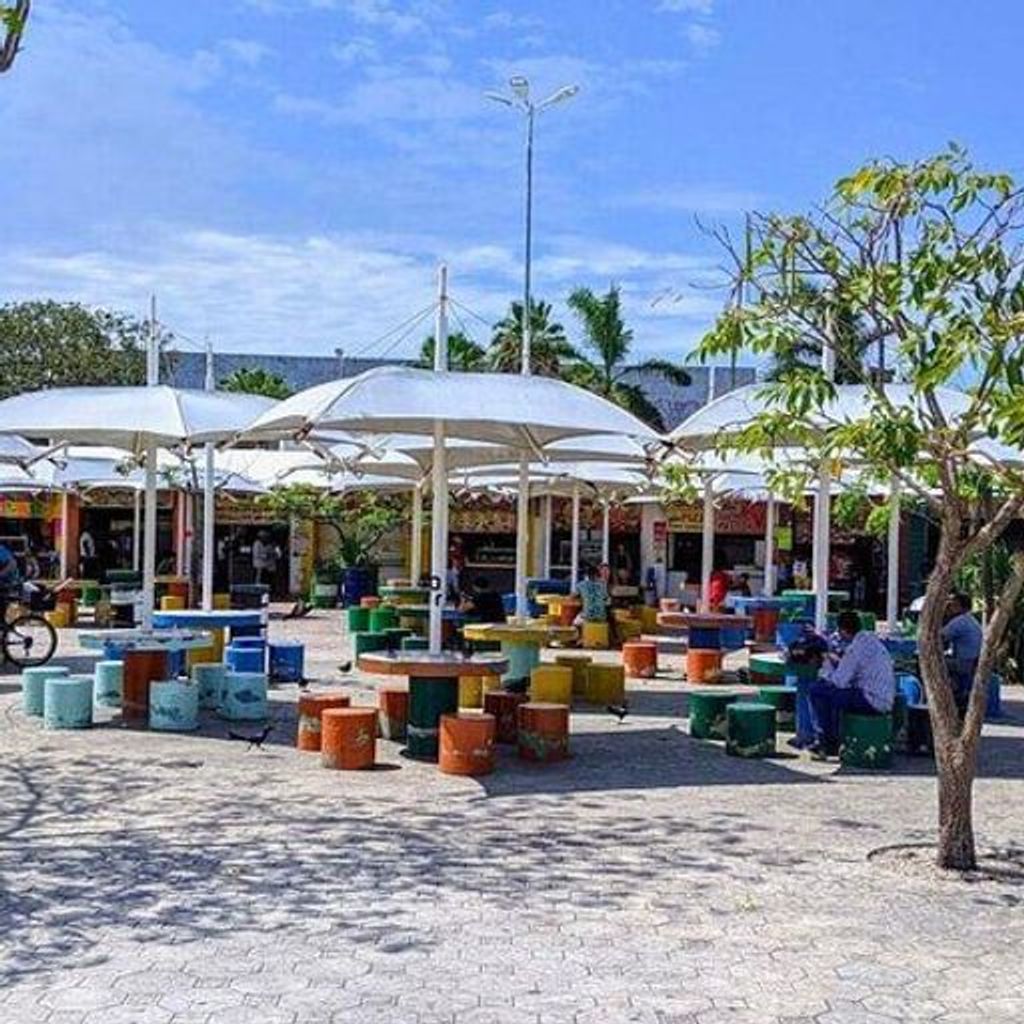 Parque de las Palapas - 1
