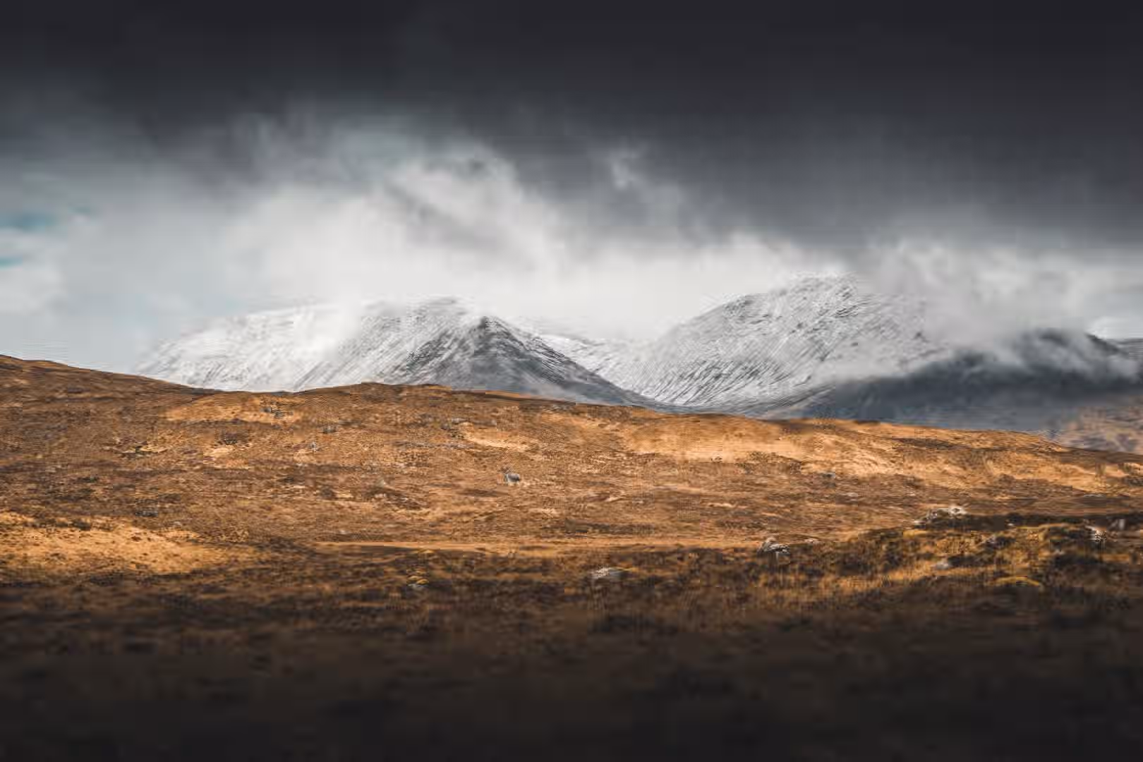 The image is well-composed, with the mountains and landscape creating a visually appealing scene. The lighting is adequate, although the dark clouds create a somewhat somber mood. The image is sharp, and the key elements are in focus. The colors appear accurate, and the photo has a realistic feel. The image is well-composed (23/25), well-lit (13/15), sharp (18/20), color-accurate (9/10), photo-realistic (17/20), and the key elements are in focus (5/10).