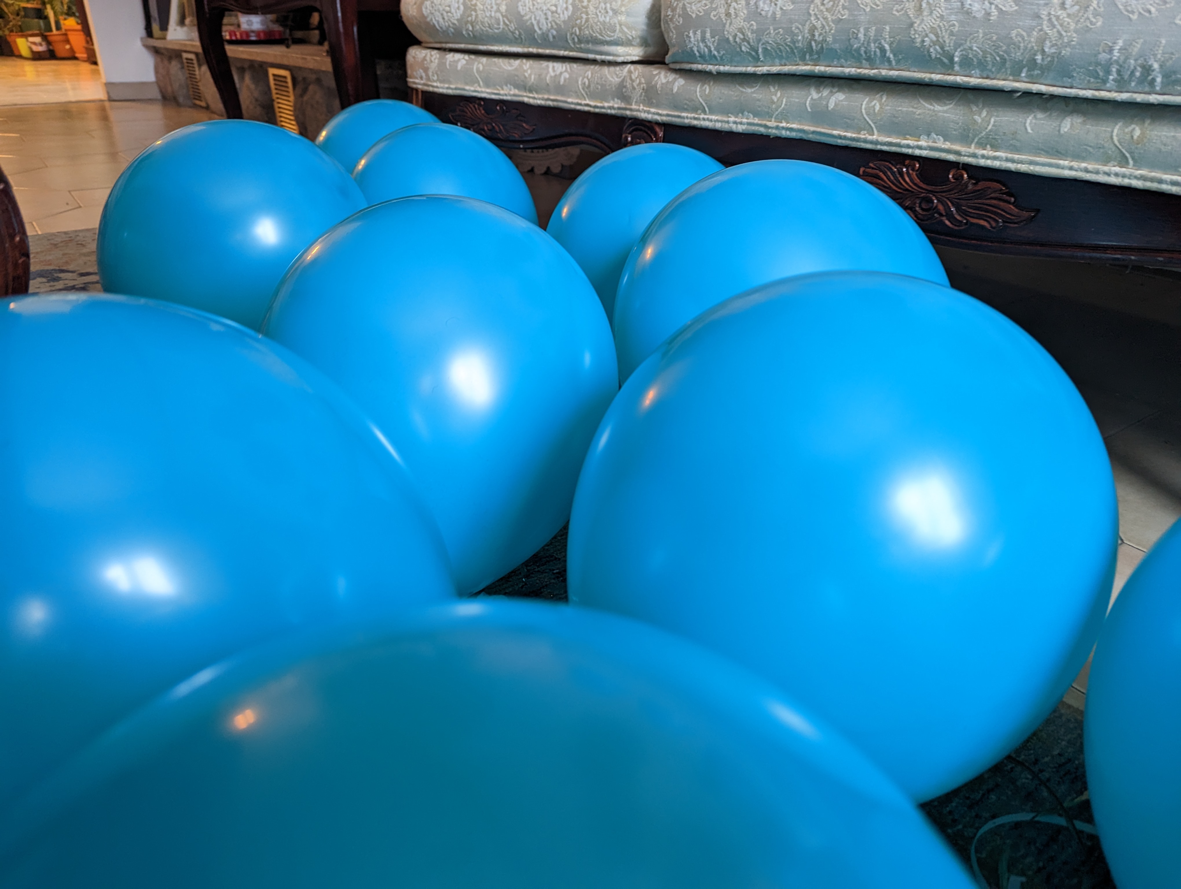 1er anniversaire d'Ocar et présentation inaugurale - photo 1