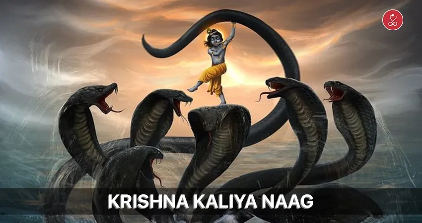 Krishna Kaliya Naag