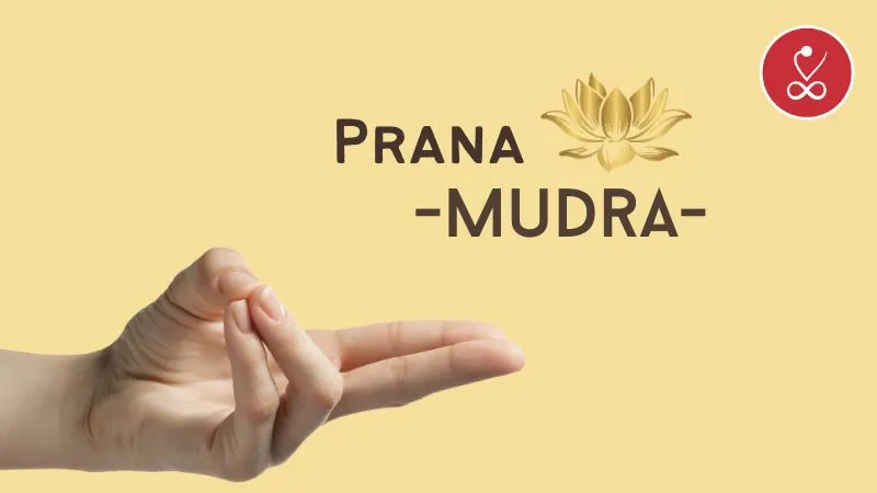 vedicmeet.com https://firebasestorage.googleapis.com/v0/b/occult-science-vedicmeet.appspot.com/o/converted-webp%2F58fcd73a-79e1-4477-9c61-051baee8b562?alt=media