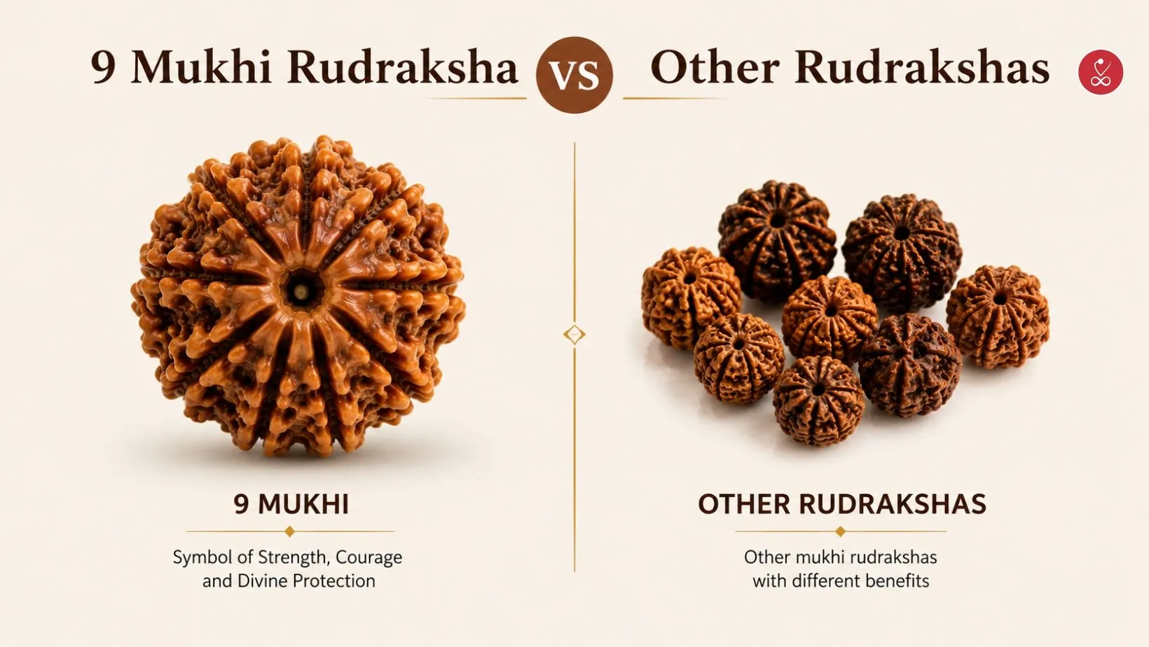 9 Mukhi Rudraksha vs Other Rudrakshas