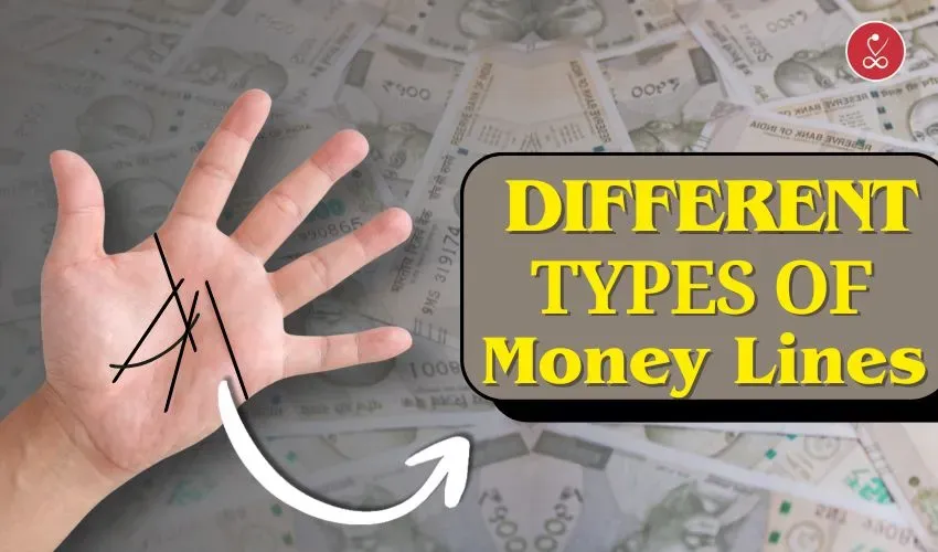 Different Types of Money Lines 