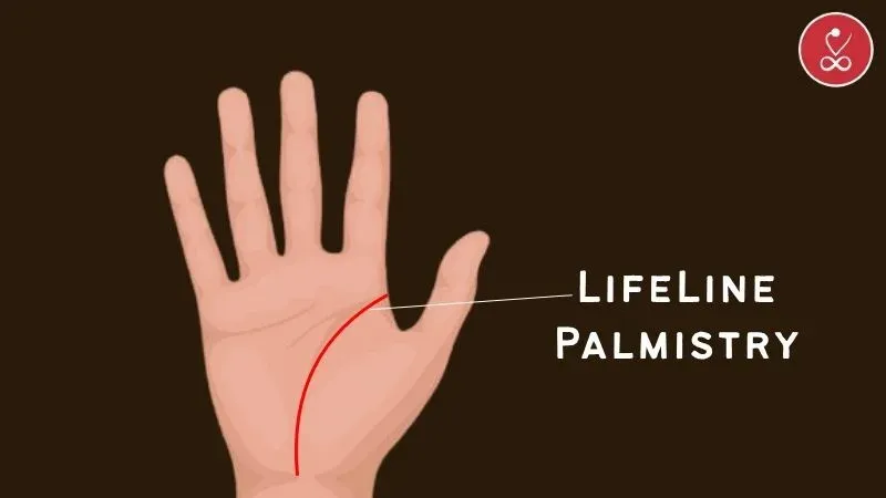 Lifeline Palmistry Decoding Secrets of Health