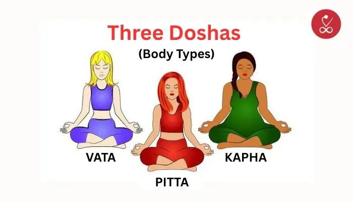 Three Doshas (Body Types)