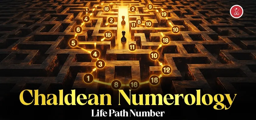 Chaldean numerology life path number