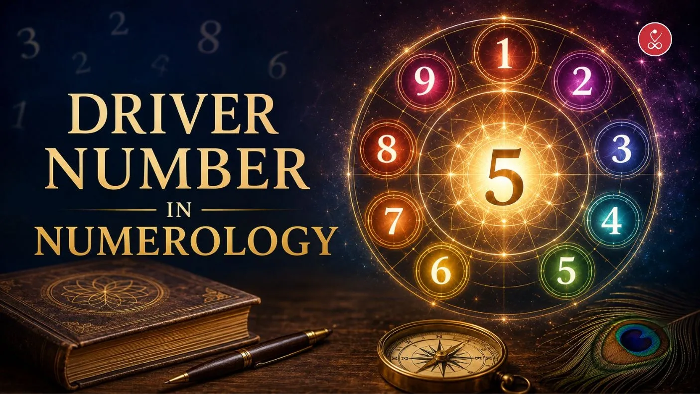 driver number in numerology