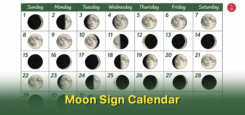 Moon Sign Calendar