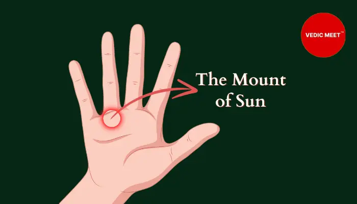 Sunline palmistry