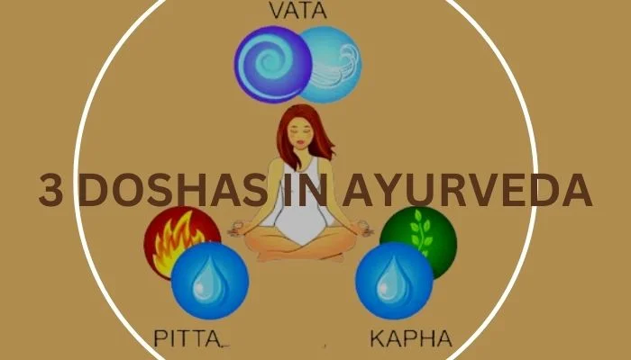 Doshas in history ayurveda