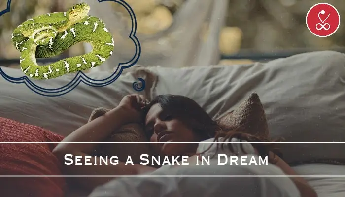 Seeing a Snake in Dream