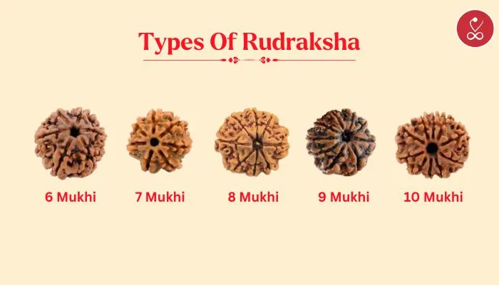 Type of rudraksh