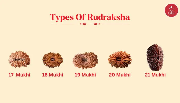 type of rudraksh