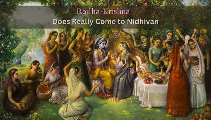 radha krishna