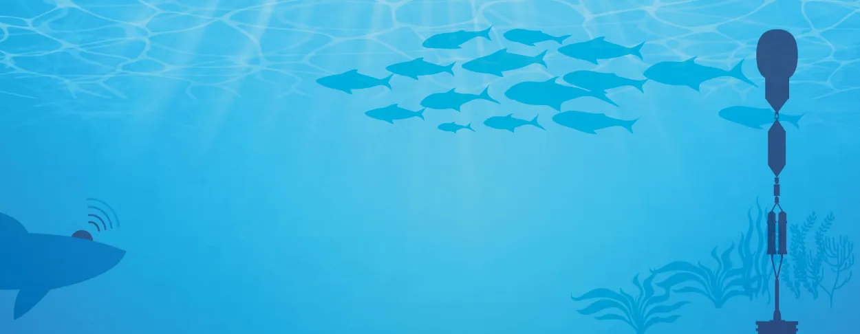 GOOS Updates Essential Ocean Variables Framework to Standardise the Data Behind Forecasts, Climate Tracking and Ocean Health