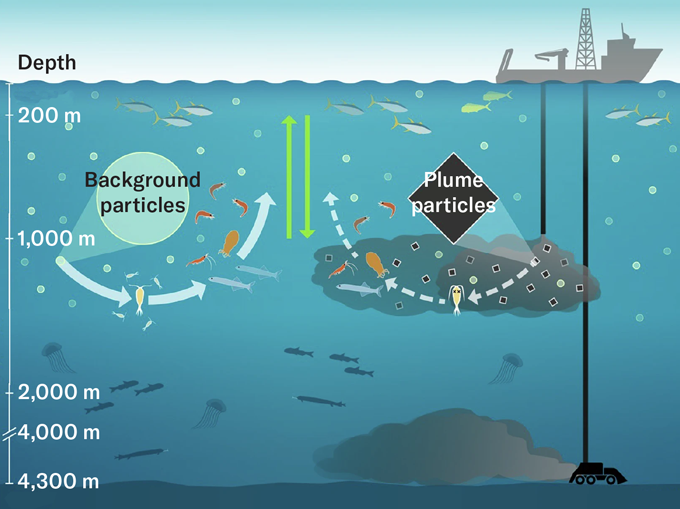Deep-sea mining might feed plankton a diet of junk food