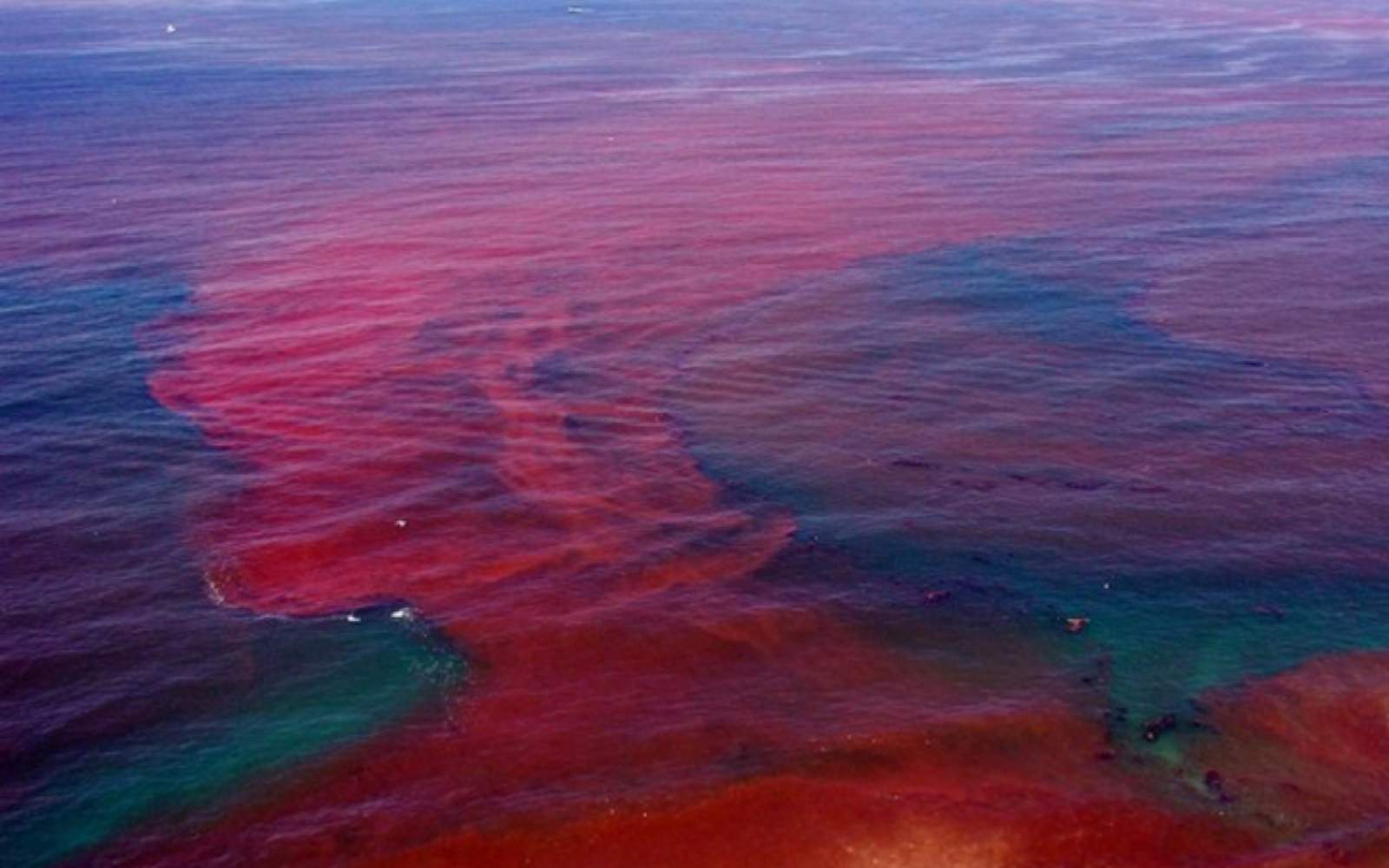 Gulf of Maine Alkalinity Trial Tests Whether Chemical Additions Can Boost Ocean Carbon Uptake