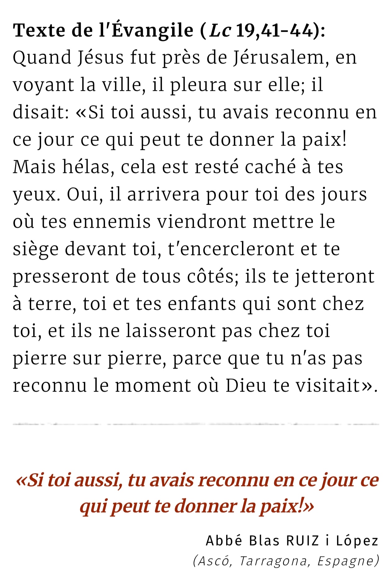 Evangile du 20 novembre 2025