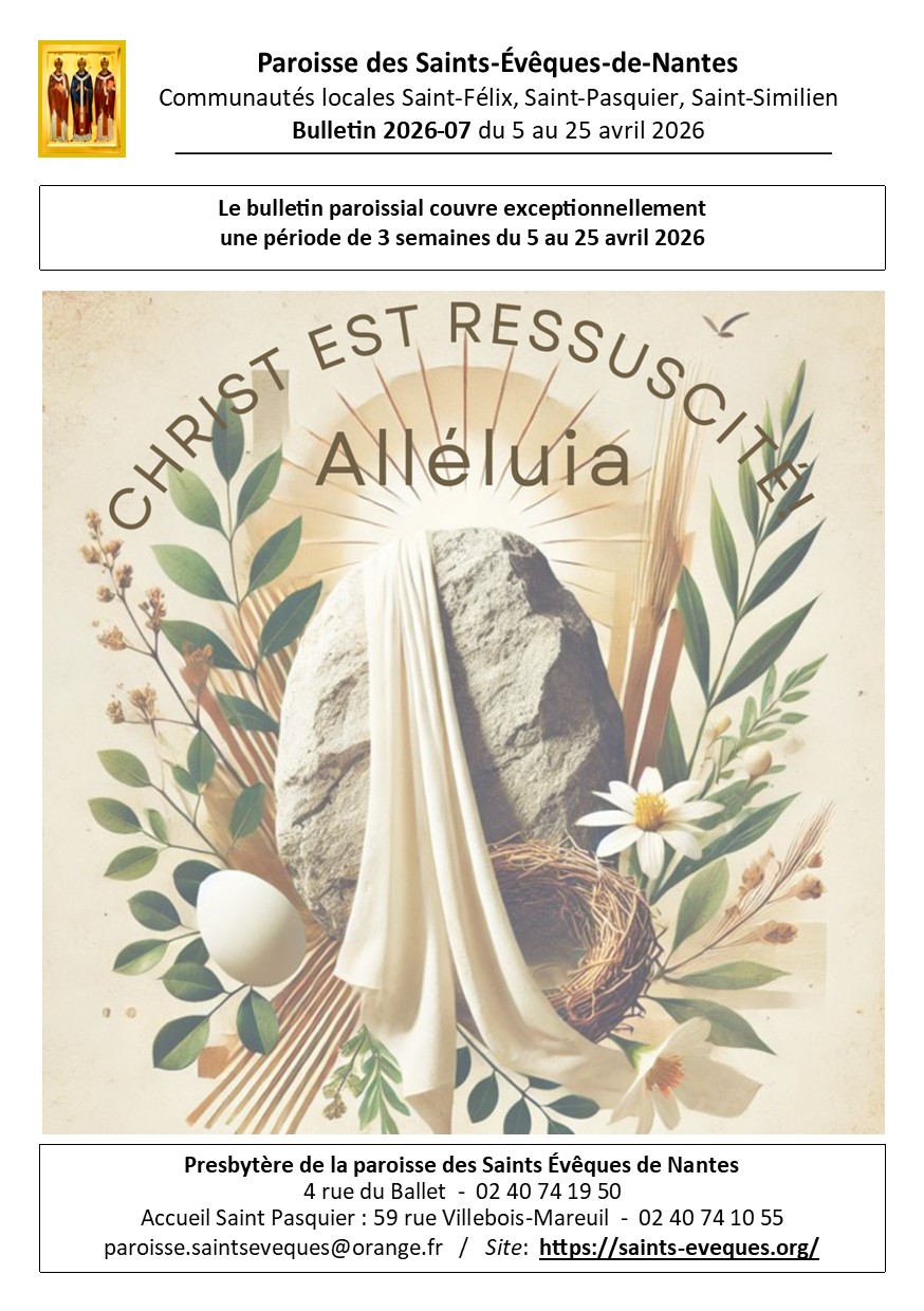 BULLETIN N°7