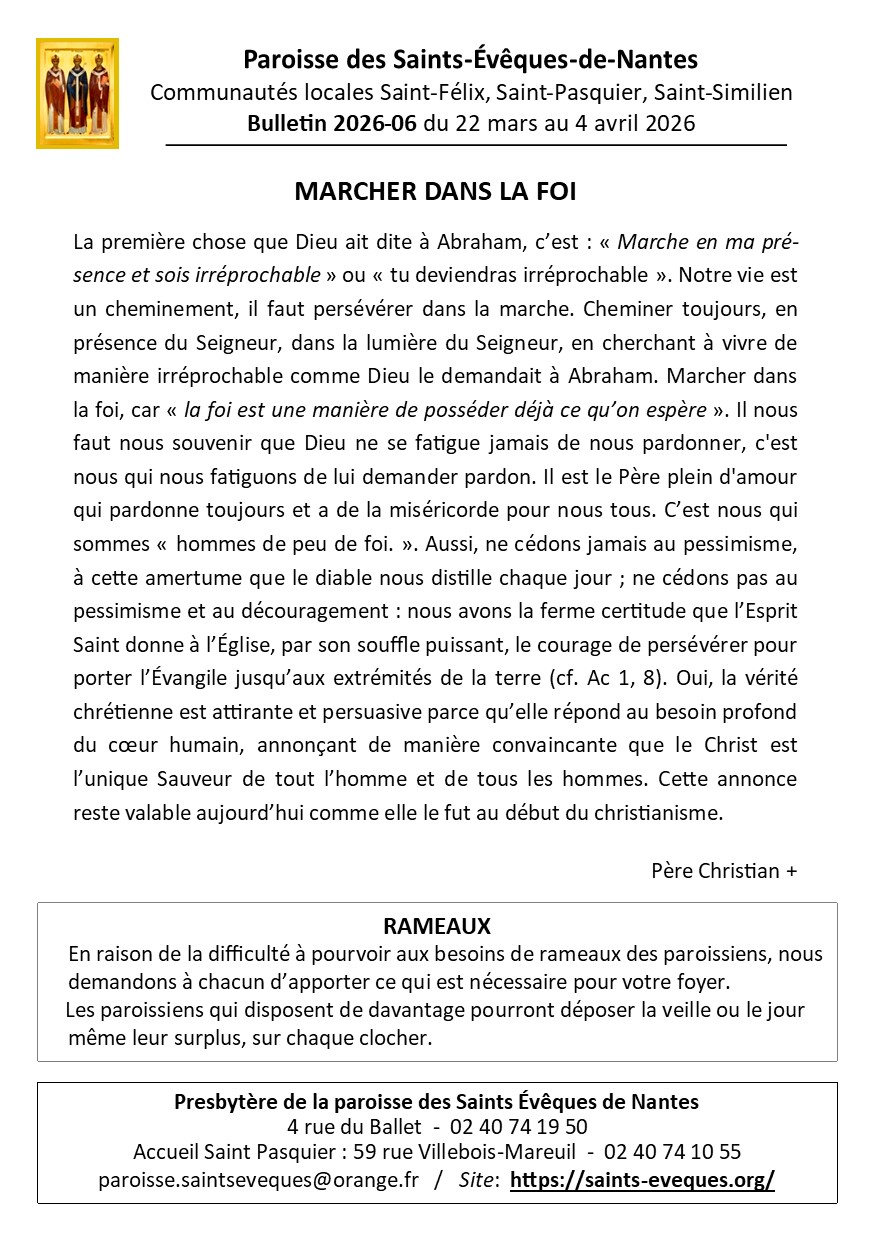 BULLETIN N°6