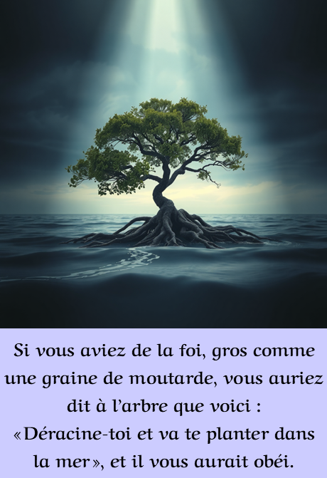 Feuillet dominical du 5 octobre (27e dimanche C)
