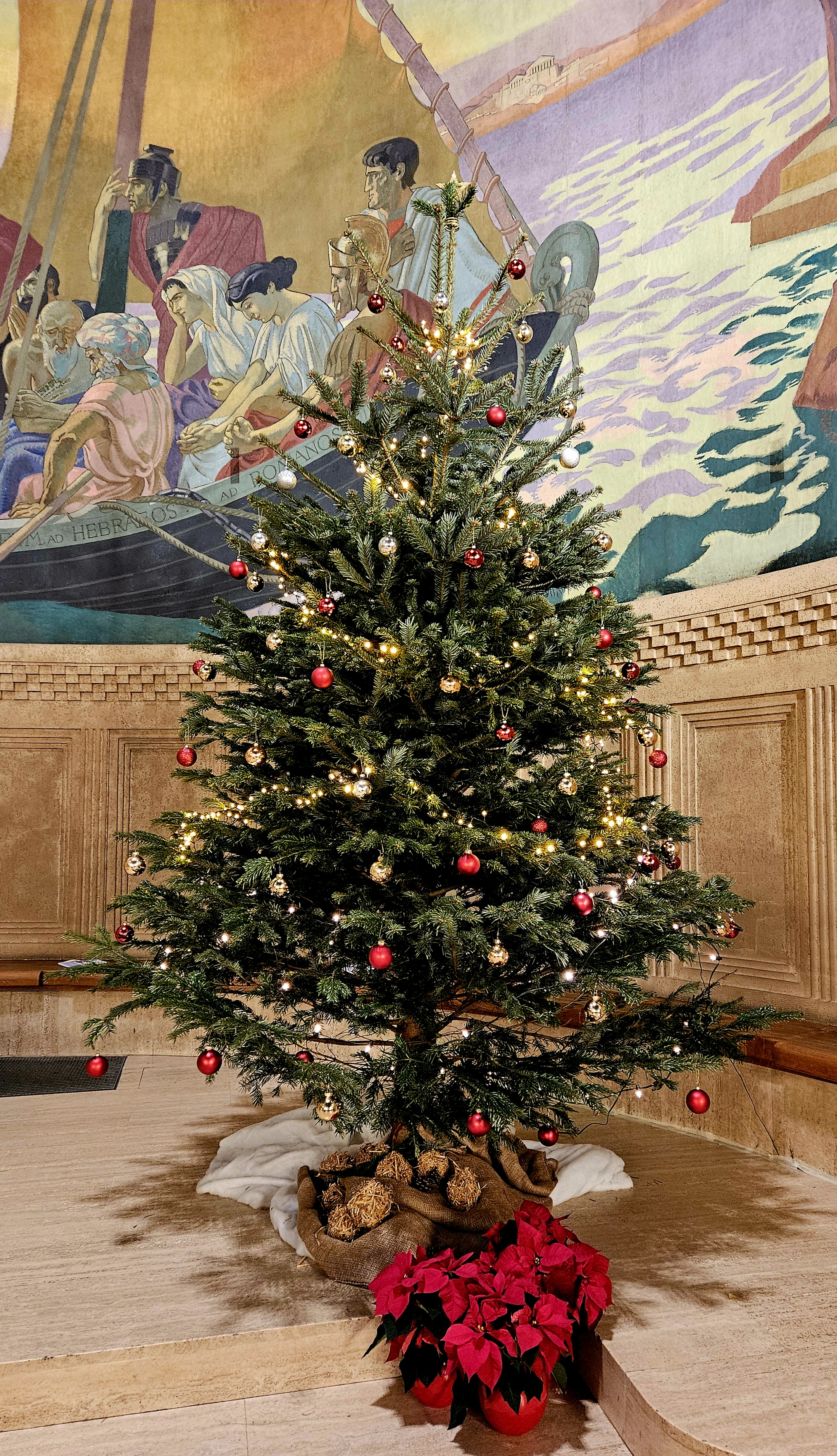 Mon Beau Sapin...