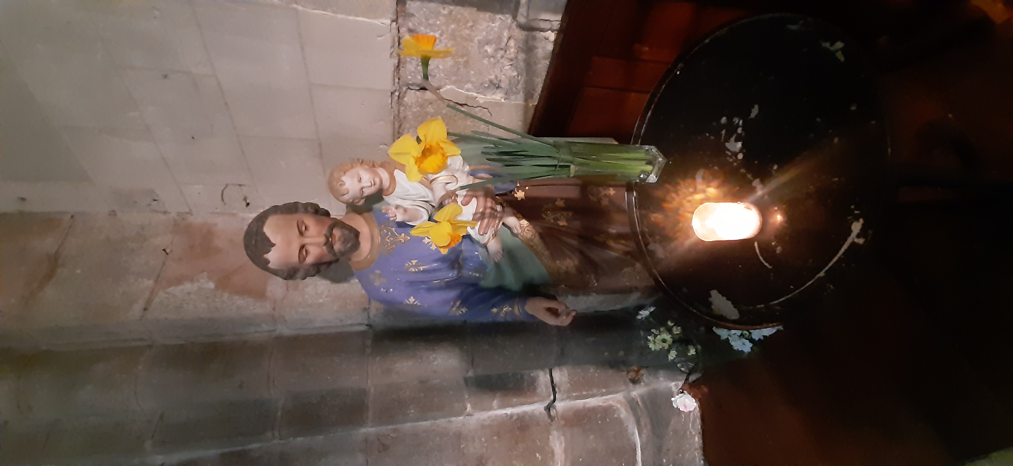 Premières fleurs