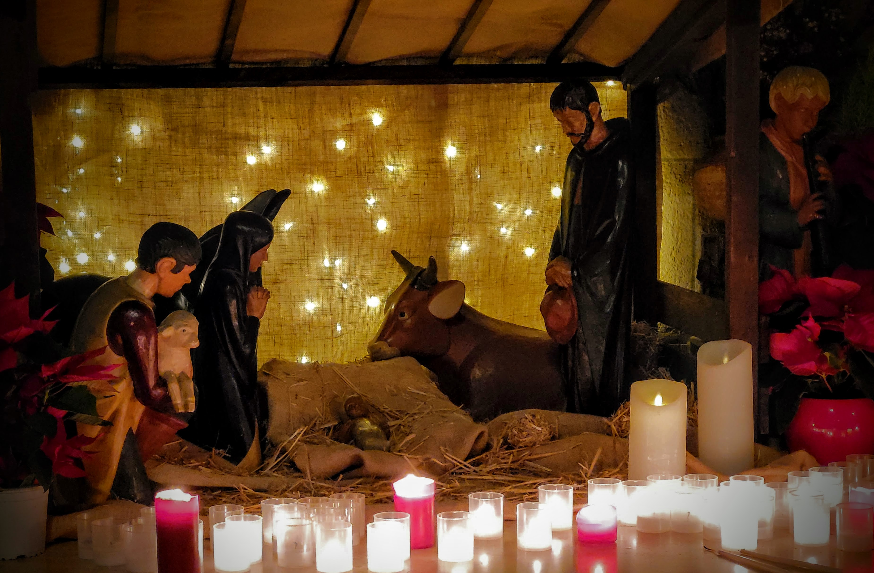 On désire tous un petit frère... Homélie pour Noël (messe des familles, 18h)