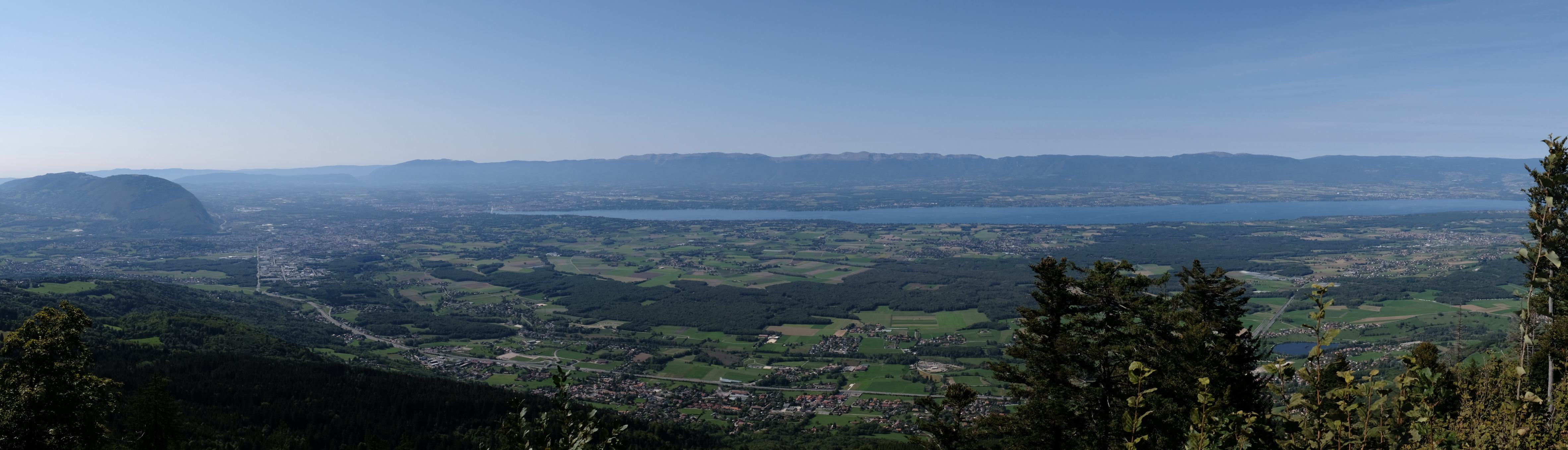 Frassati, fracassati... tipi loschi etc.
