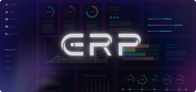 Enterprise Resource Planning (ERP)