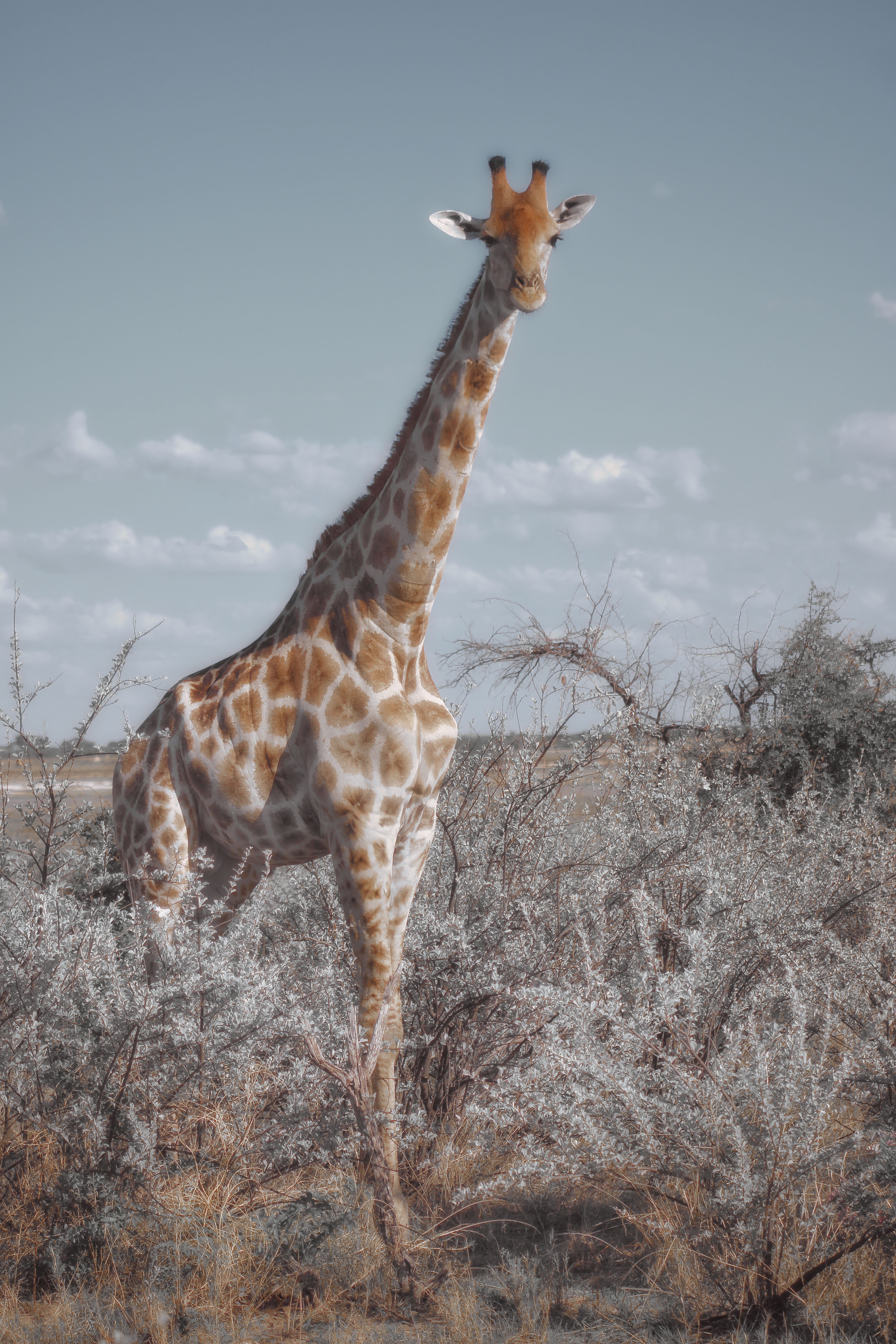 Top 5 African Travel Destinations Trending in 2026