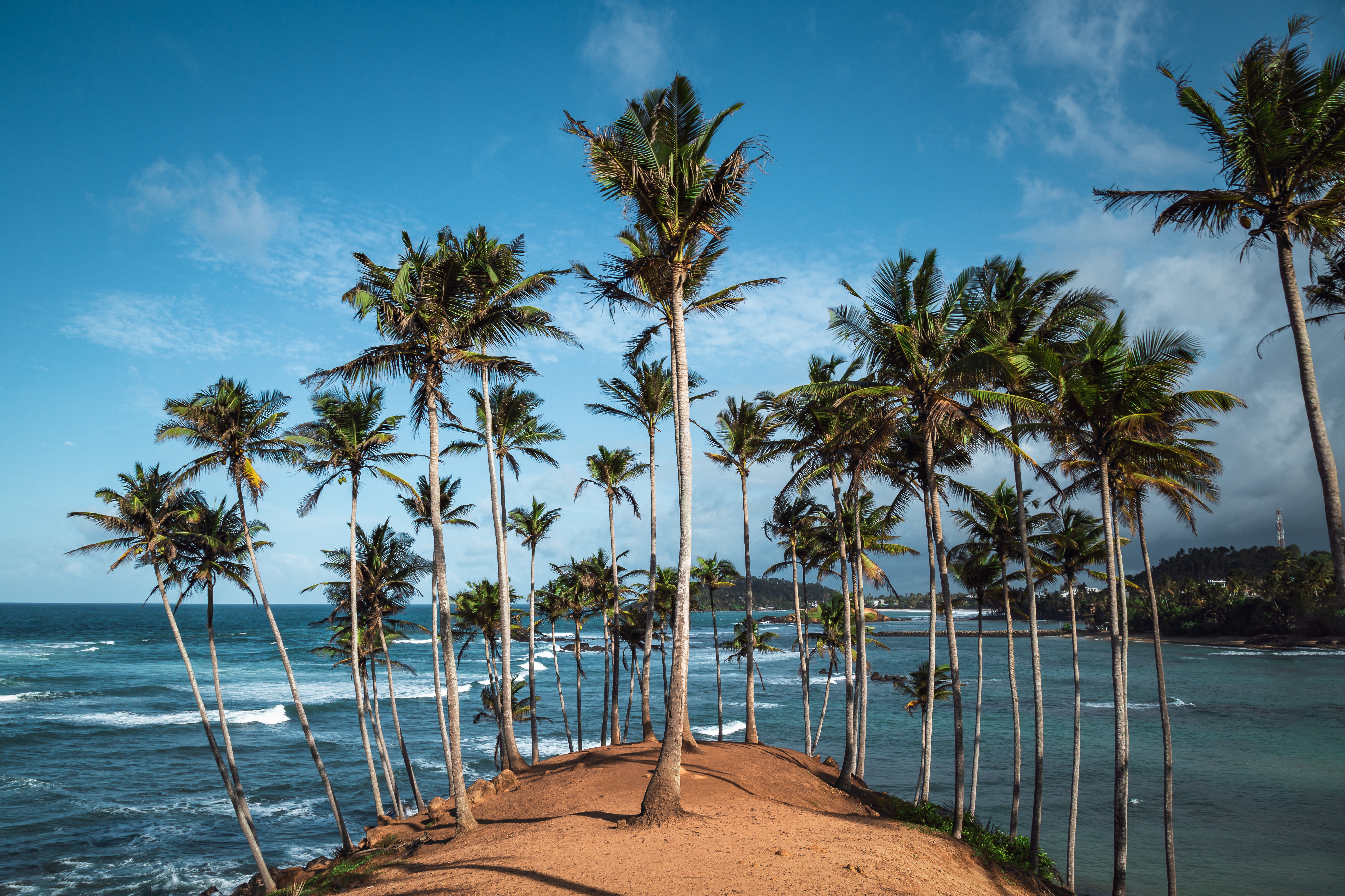 Nikini Poya 2026: A Complete Guide to Sri Lanka’s Buddhist Full-Moon Festival