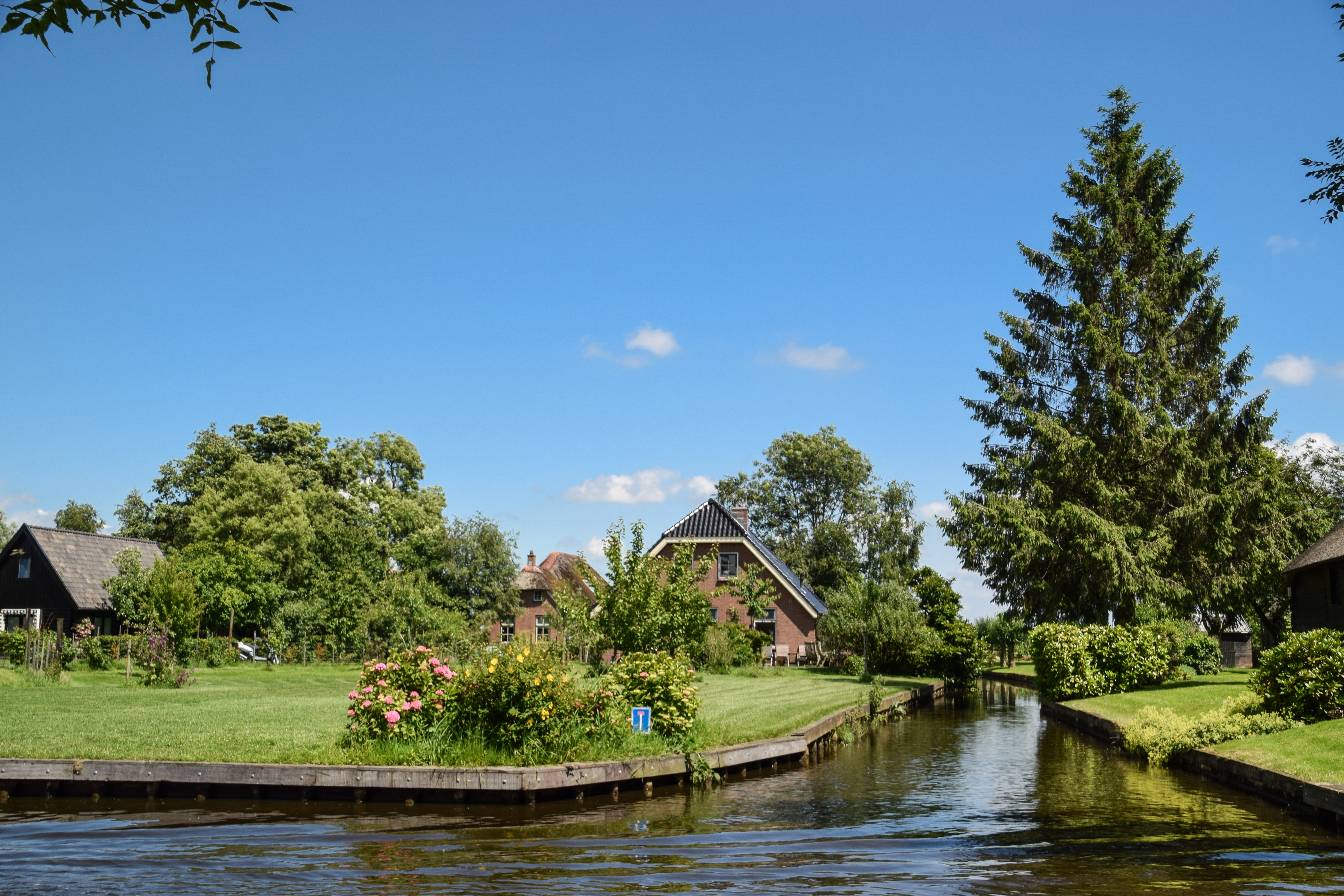 Solheim Cup 2026 in the Netherlands: Complete Travel Guide, Teams, Venue & Best Netherlands eSIM