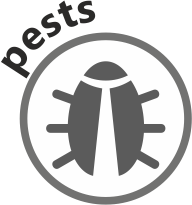 захист від жуків