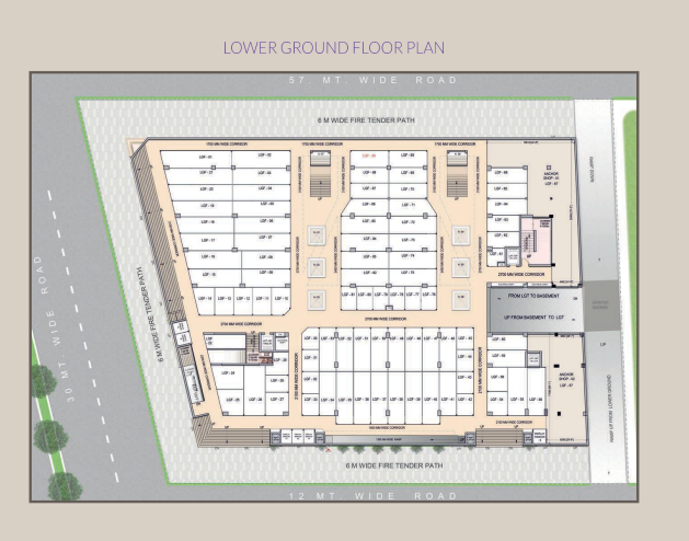 Lower Ground Floor Plan 