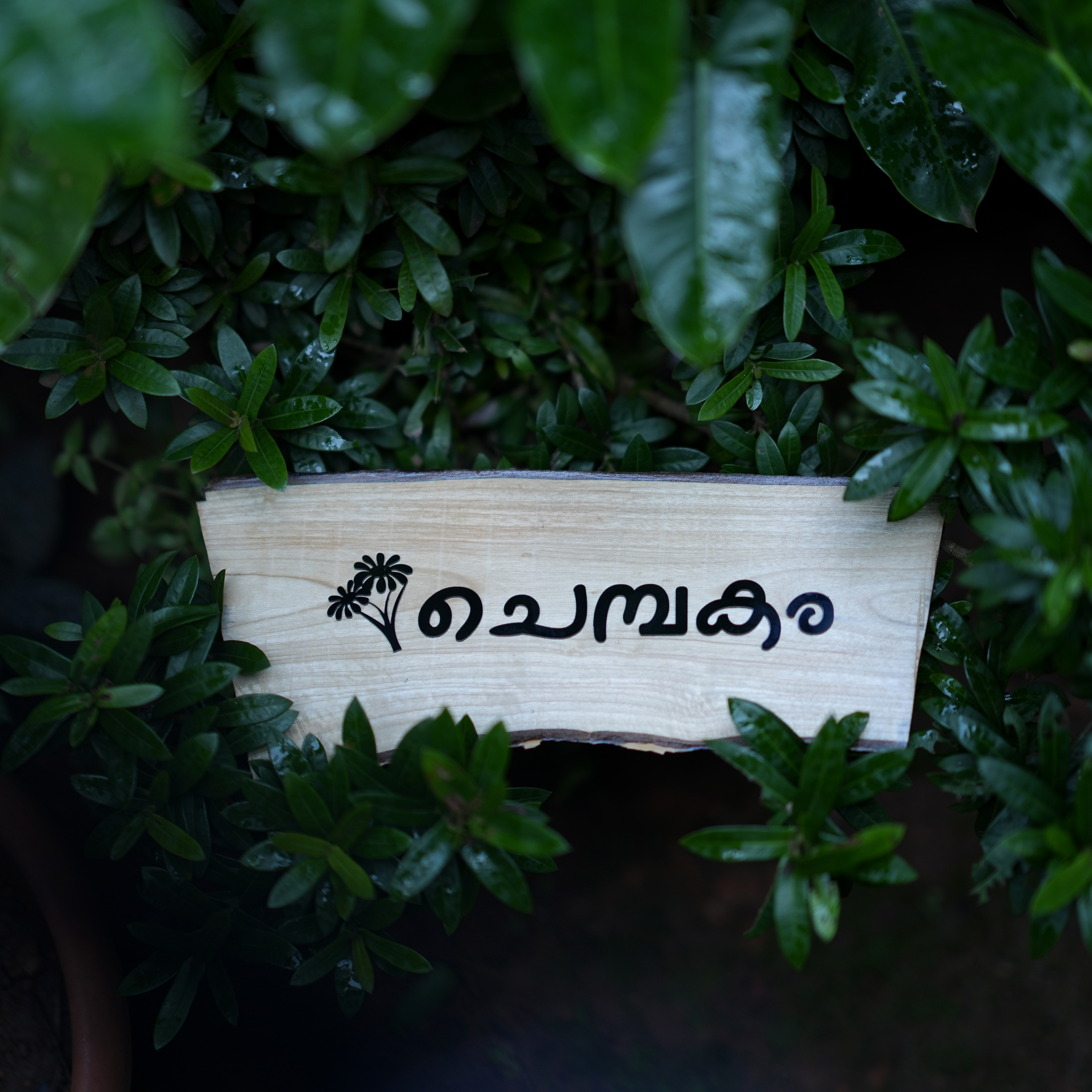 NAME BOARD