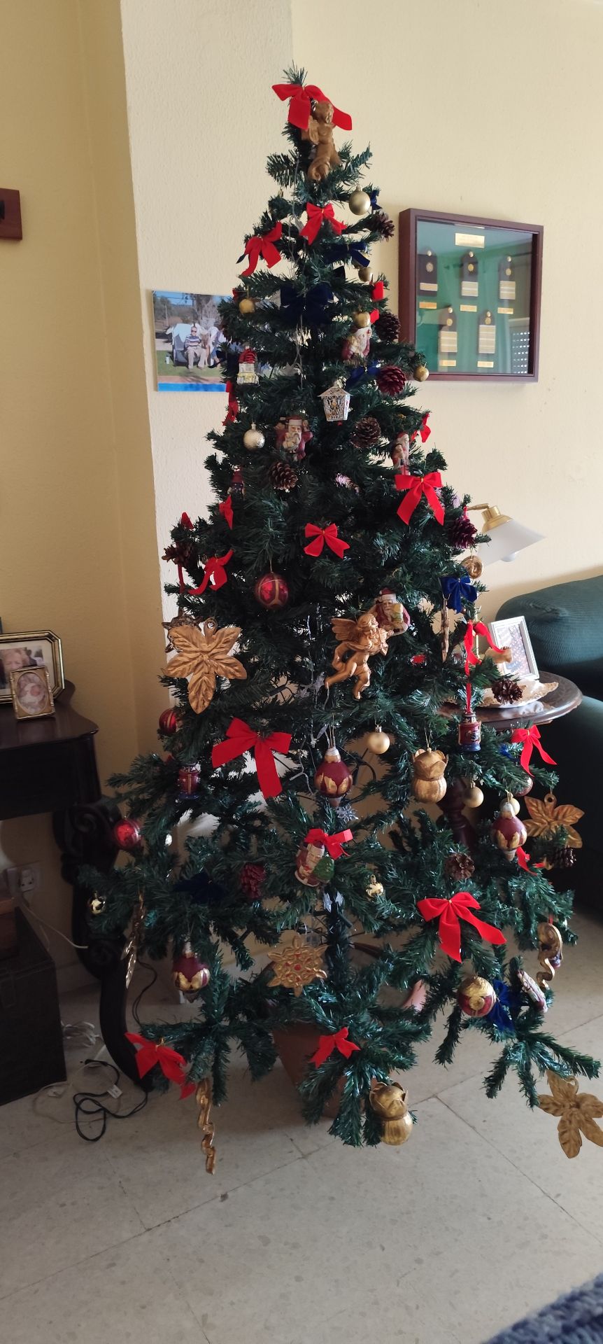 Árbol de Auxiliadora