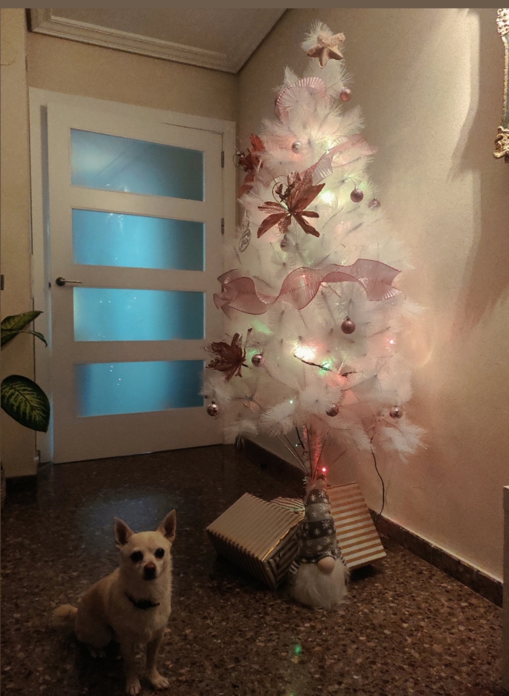 El Árbol de los Sueños