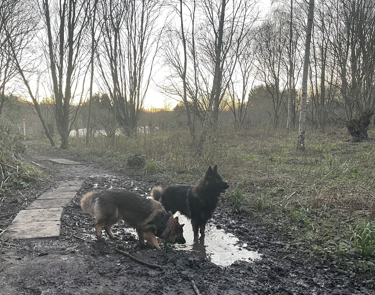 Chris's Rustic Dog Exercise Area secure private dog field in Leeds, LS17 9JH