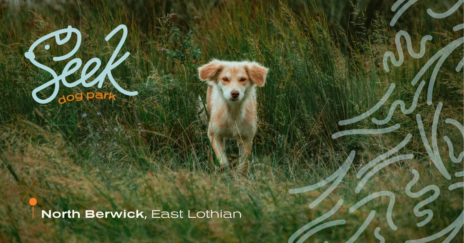 Seek Dog Park secure private dog field in North Berwick, EH39 5PL
