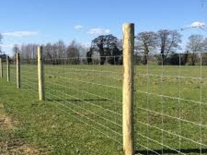 paws for a walk secure private dog field in Selby, YO8 5RS