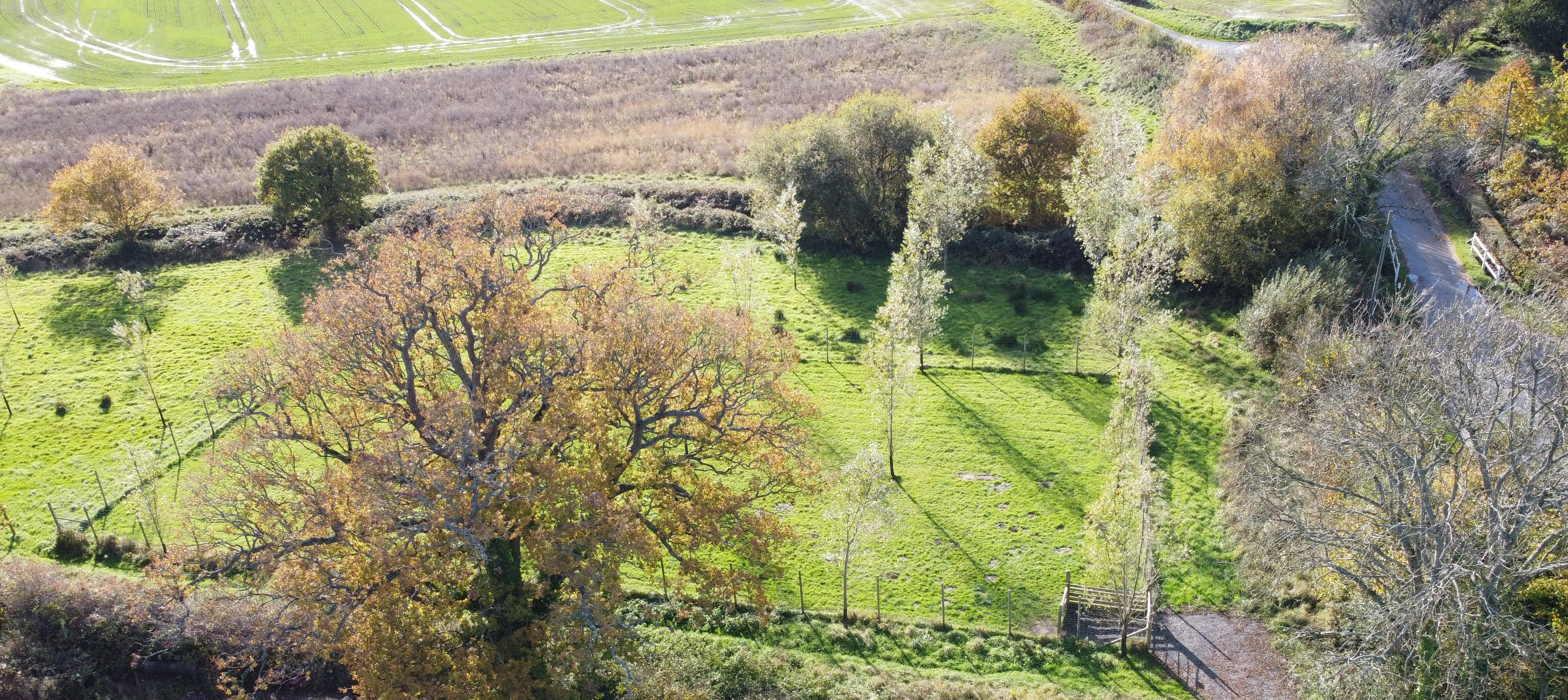 DoggiePen4U secure private dog field in Haywards Heath, RH17 7RQ