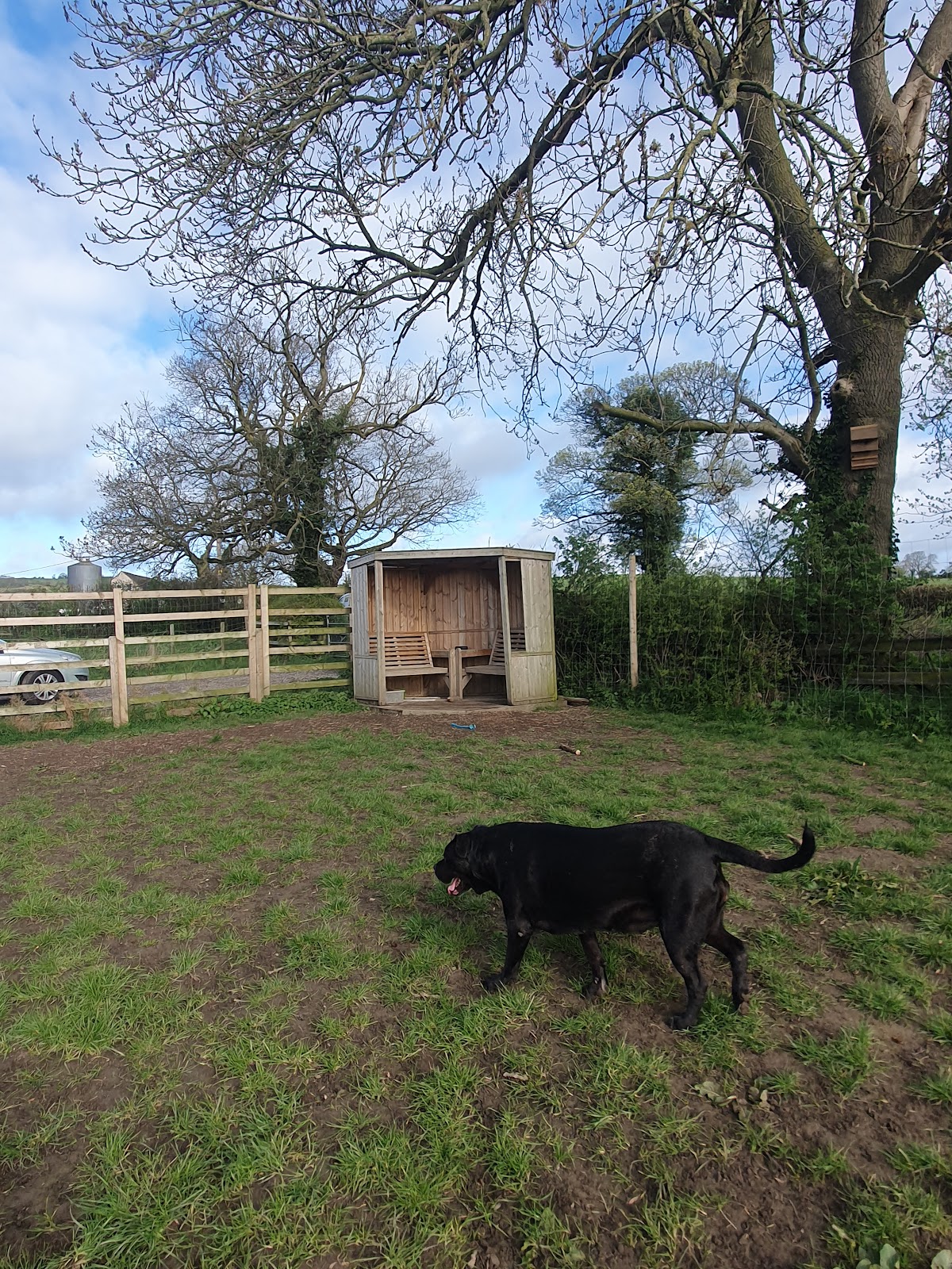 The Freedom Field At Moorwood Moor secure private dog field in Inns Ln, DE55 7NU
