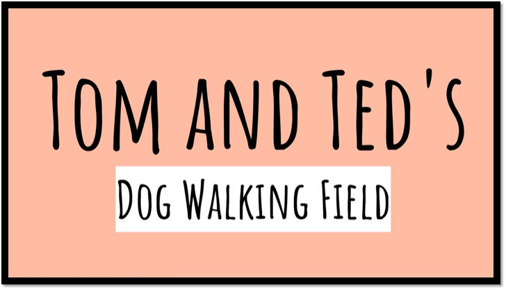 Tom and Ted's secure private dog field in Colchester, CO5 7QL