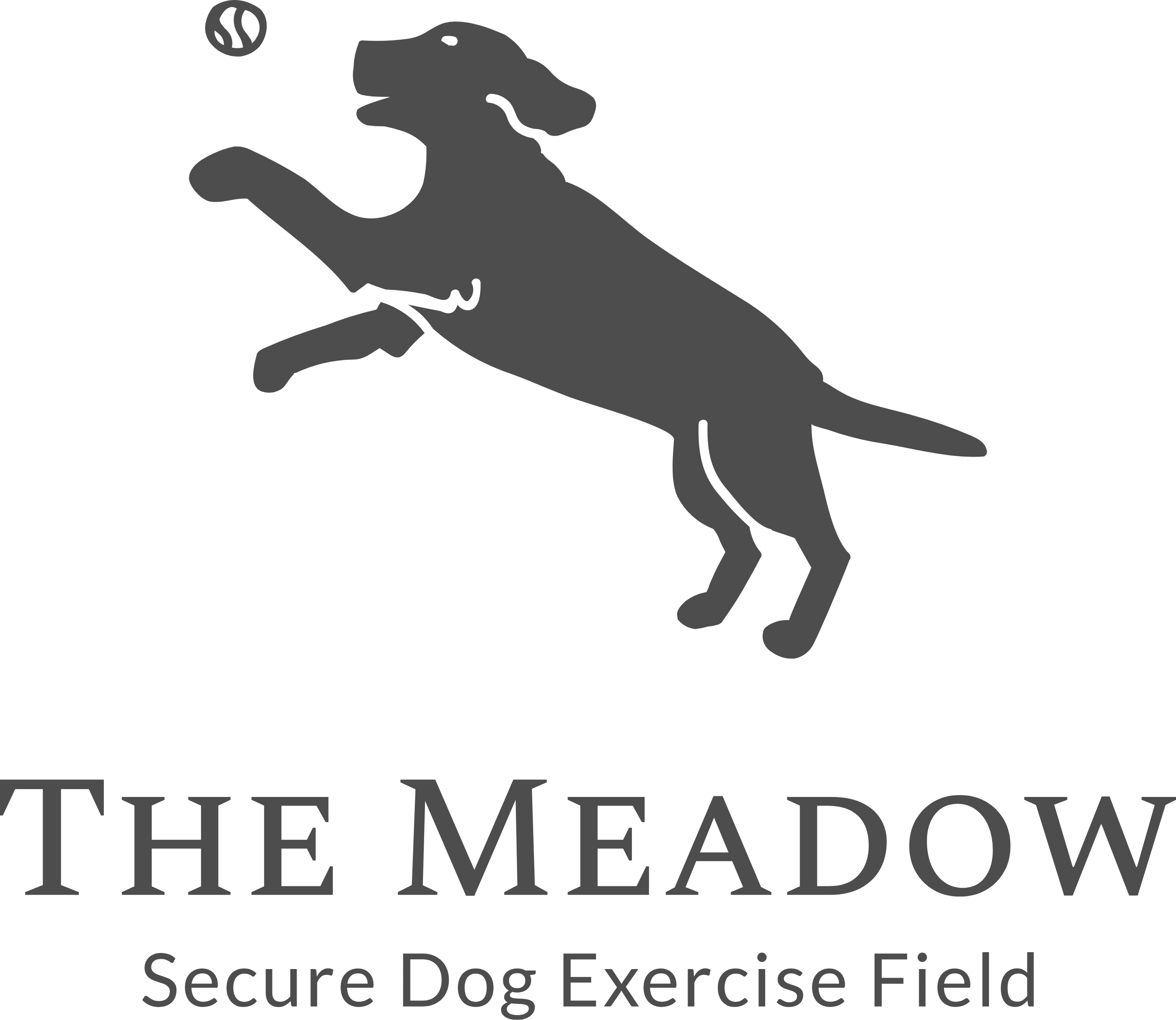 The Meadow, Secure Dog Field dog field near Colchester